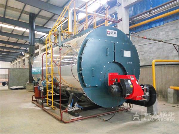 成都皮革廠6噸燃氣低氮鍋爐.jpg